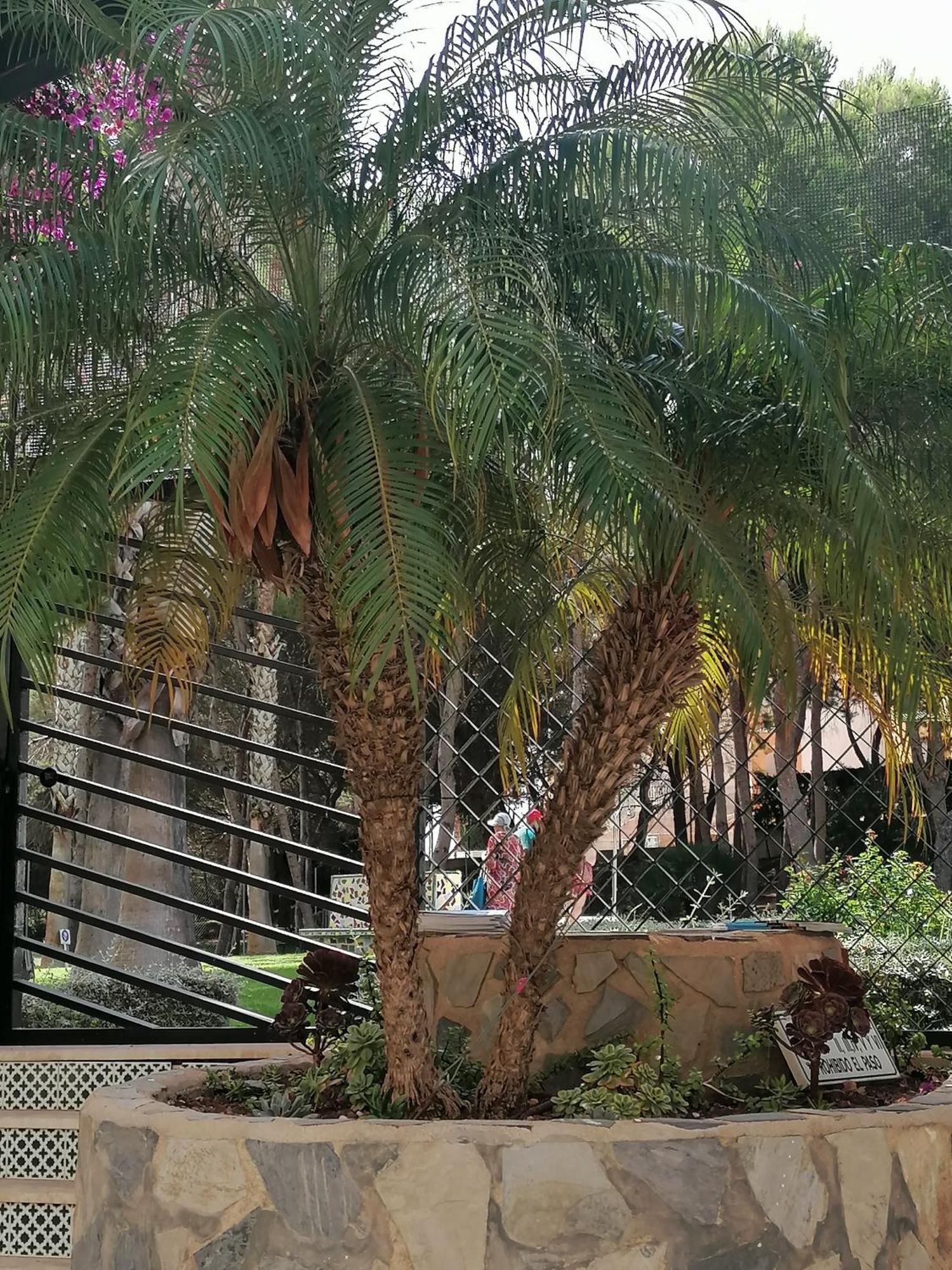 Campoamor Seaview Εξωτερικό φωτογραφία