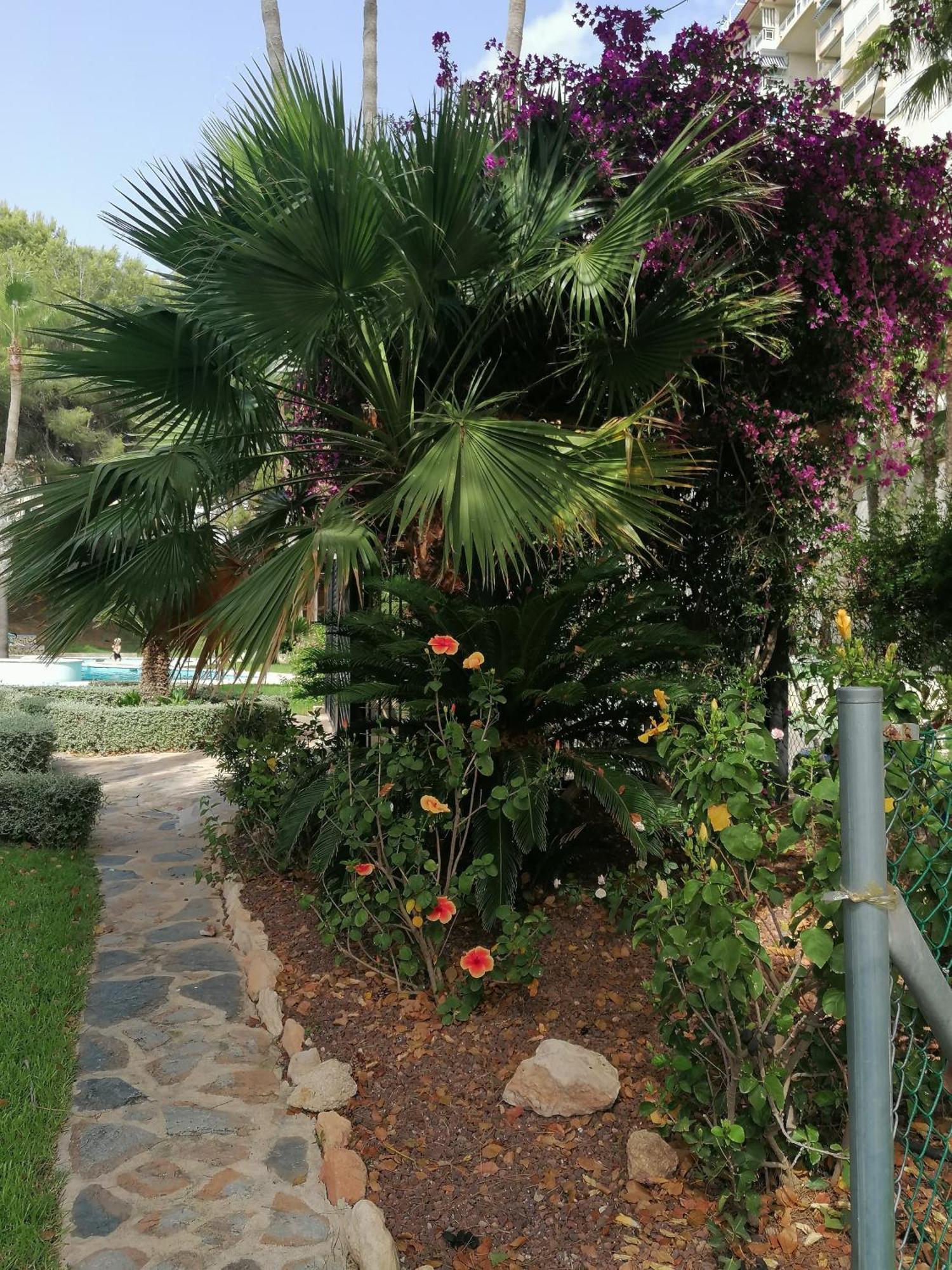 Campoamor Seaview Εξωτερικό φωτογραφία