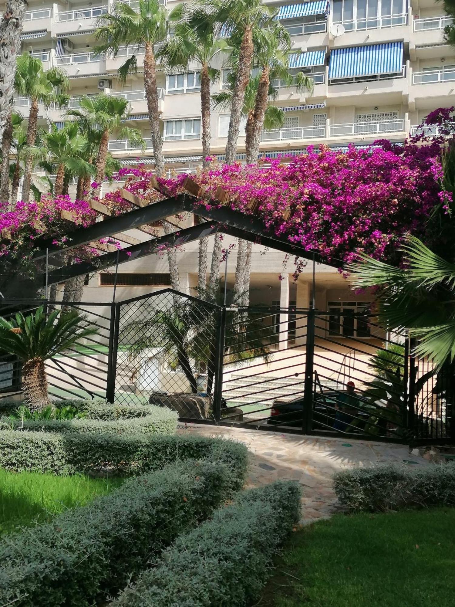 Campoamor Seaview Εξωτερικό φωτογραφία
